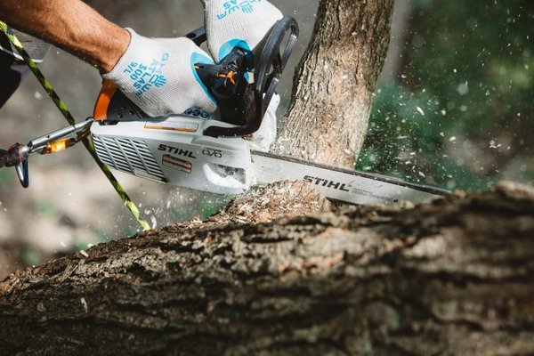 Tronçonneuse Stihl MS194