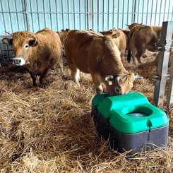 Abreuvement - Abreuvoirs et accessoires - Capot RETROFIT THERMOLAC 75 GA