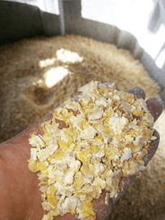 Alimentation - Aplatisseur à grains - Aplatisseur floconneur