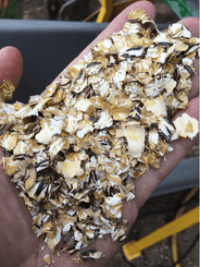 Alimentation - Aplatisseur à grains - Aplatisseur floconneur