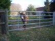 Matériel d'élevage - Barrière herbage - Barrière herbage ECO emboîtée 4/5M