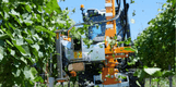 Entretien - Taille viti-arbo - Effeuilleuse EB490 BINGER