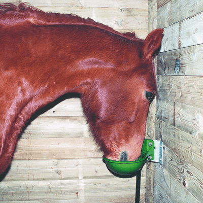 Abreuvement - Abreuvoirs et accessoires - Abreuvoir FORSTAL