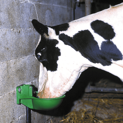 Abreuvement - Abreuvoirs et accessoires - Abreuvoir FORSTAL