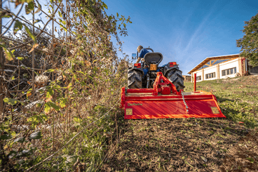 Terre - 3 points travail du sol - Fraise 3 points EAGLE 145