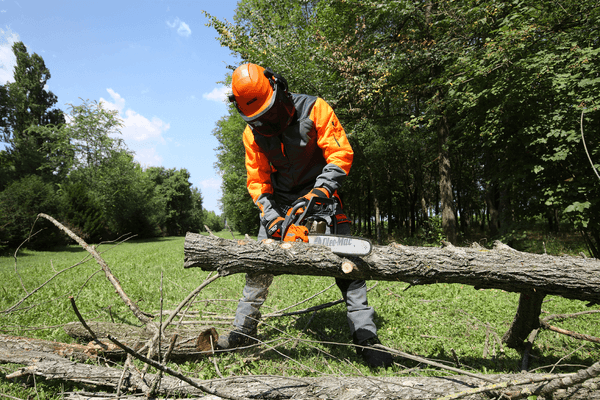 Bois - Tronçonneuses thermique - Tronçonneuse GS 451