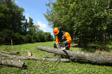Bois - Tronçonneuses thermique - Tronçonneuse GS 451