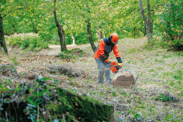 Bois - Tronçonneuses thermique - Tronçonneuse GS 651