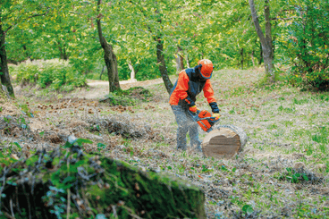 Bois - Tronçonneuses thermique - Tronçonneuse GS 651