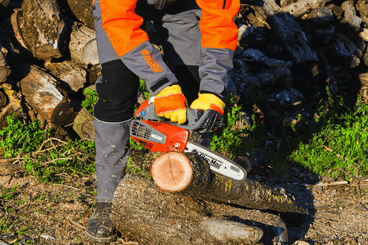 Bois - Tronçonneuses thermique - Tronçonneuse élagueuse GST 250