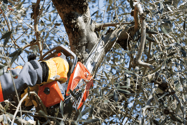 Bois - Tronçonneuses thermique - Tronçonneuse élagueuse GST 250