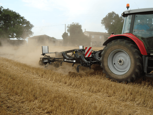 Travail du sol - Déchaumeur à dents - Déchaumeur à dents trainé ou porté BLACKBEAR