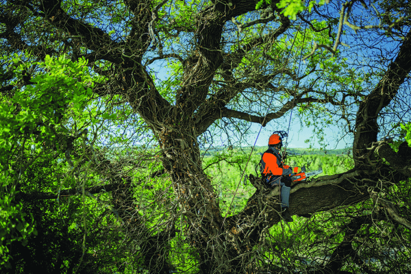 Bois - Tronçonneuses thermique - Tronçonneuse élagueuse GST 250